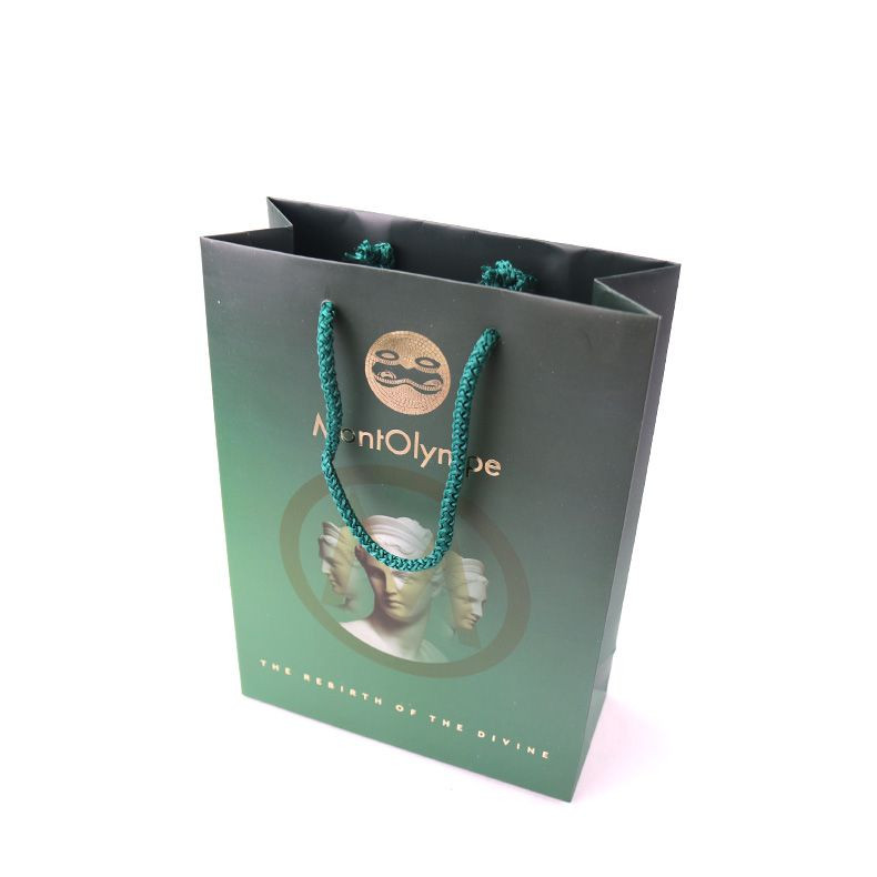 COLOR PAPER BAGS WITH PP HANDLE