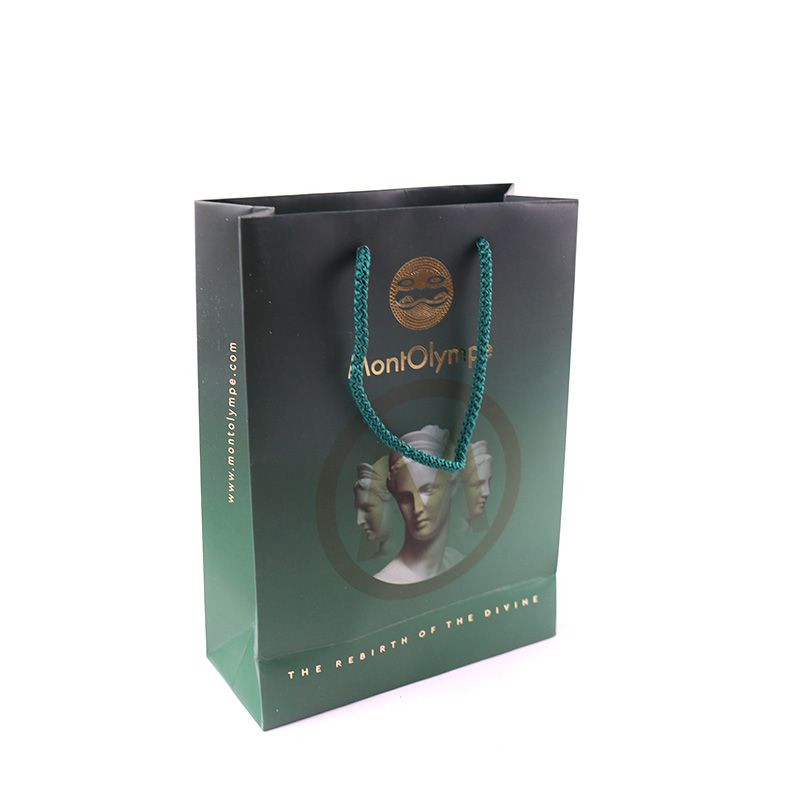 COLOR PAPER BAGS WITH PP HANDLE