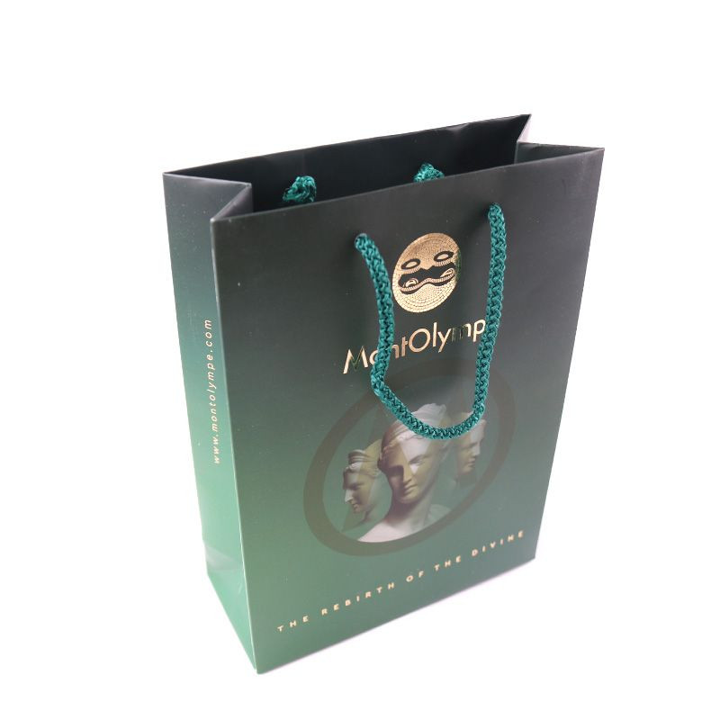 COLOR PAPER BAGS WITH PP HANDLE